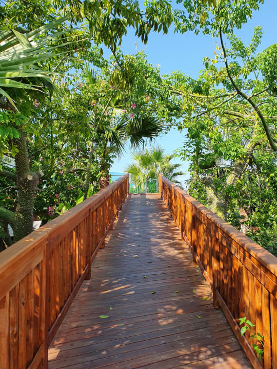 Gartenanlage Dream World Aqua Hotel