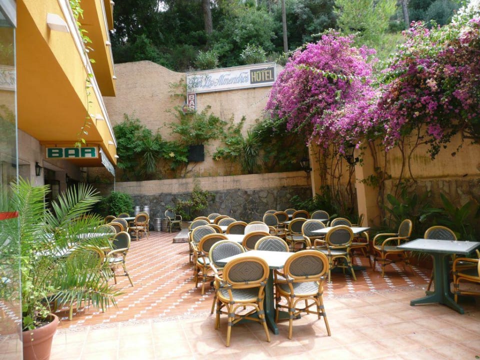 Bar vor dem Hoteleingang FLOR los Almendros Hotel