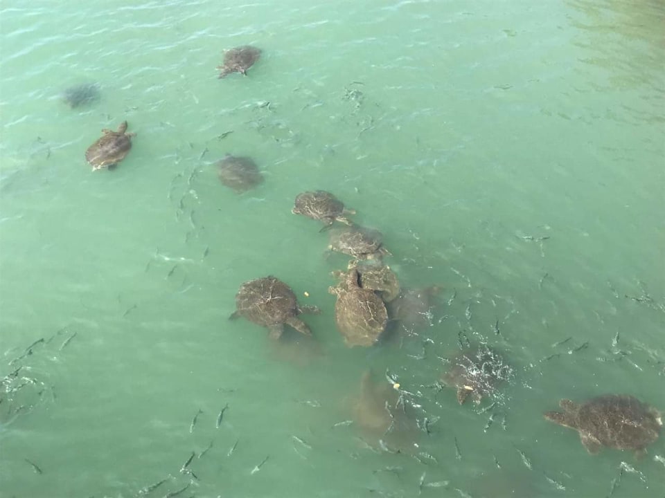 Sonstiges Adalya Resort & Spa - Adults Only