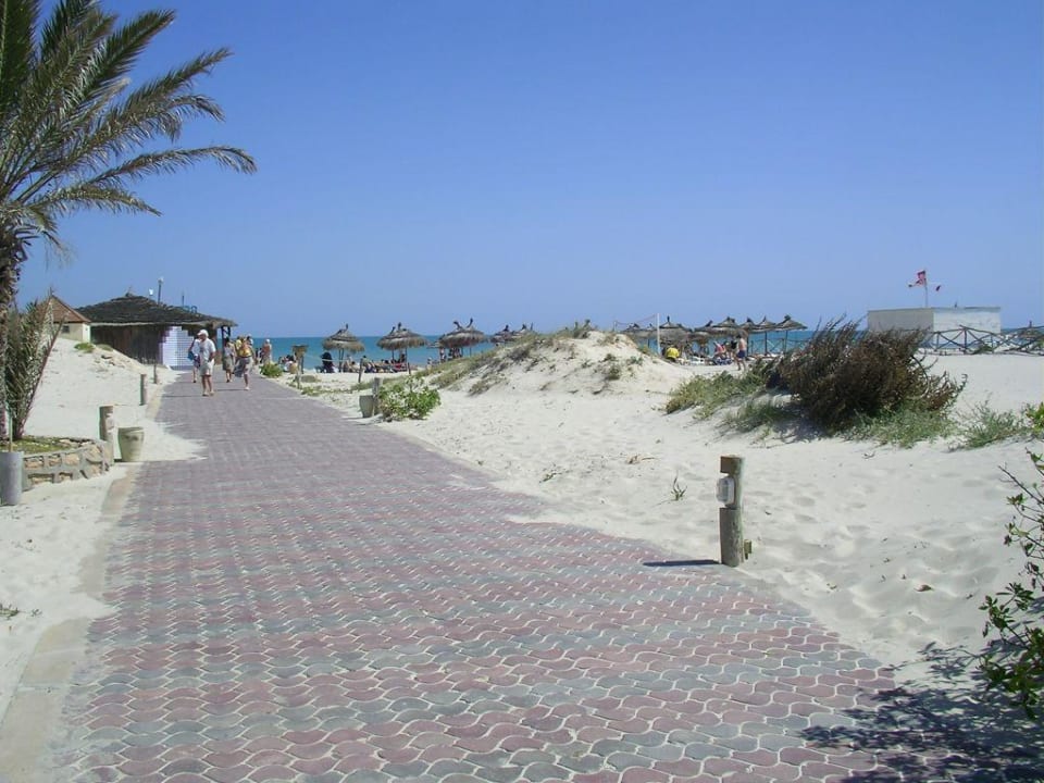 Der Weg zum Strand durch die Dünen TUI MAGIC LIFE Penelope Beach