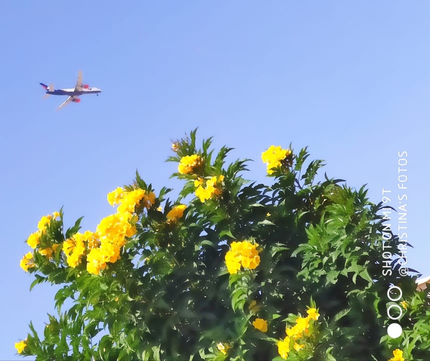 Ausblick Pickalbatros Alf Leila Wa Leila Resort - Neverland Hurghada