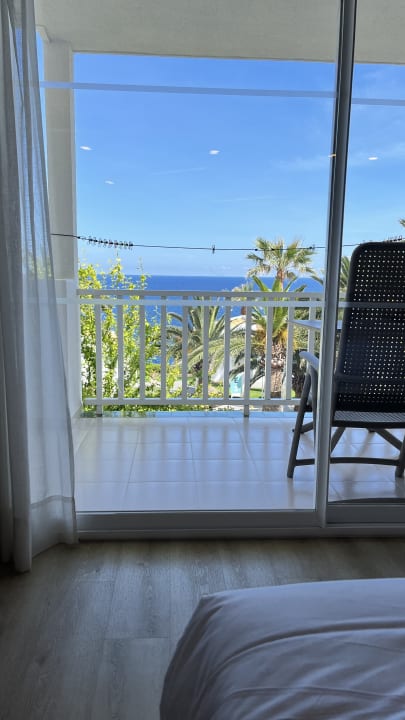 Zimmer blau punta reina