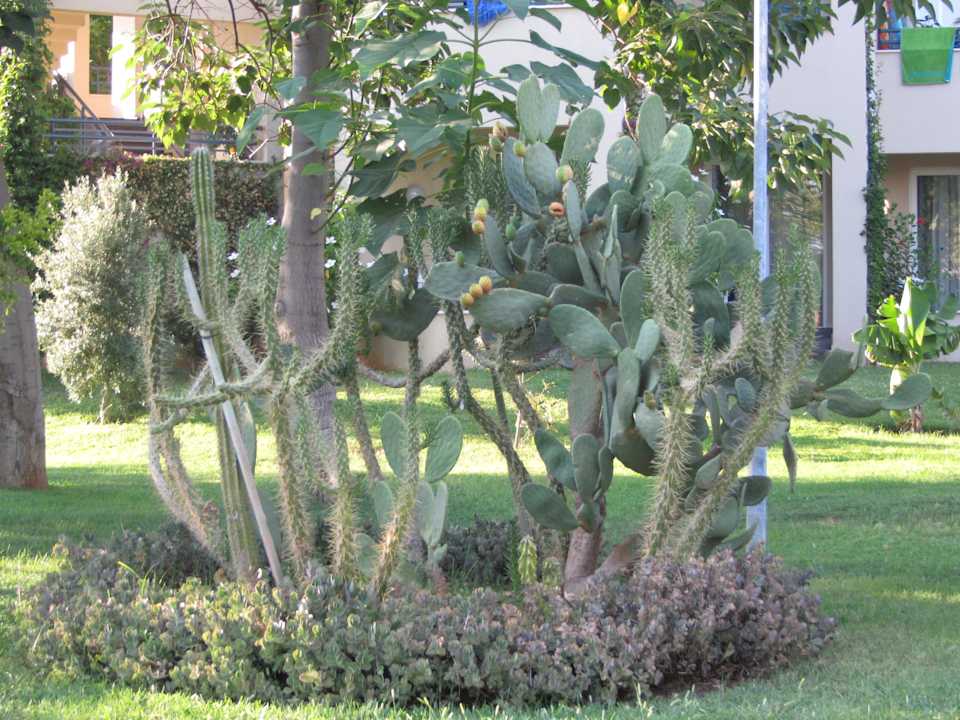 Urlaub 2012 in Alanya Labranda Alantur Resort