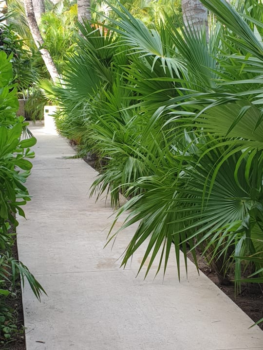 Gartenanlage Akumal Bay Beach & Wellness Resort