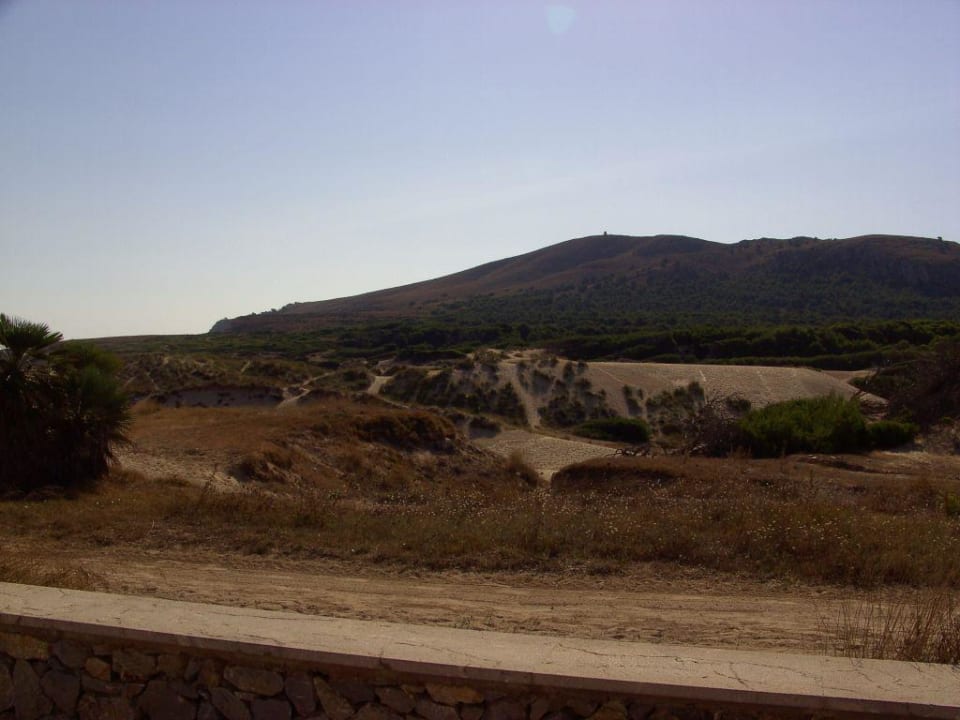 Weg zum Strand VIVA Cala Mesquida Suites & Spa 16+