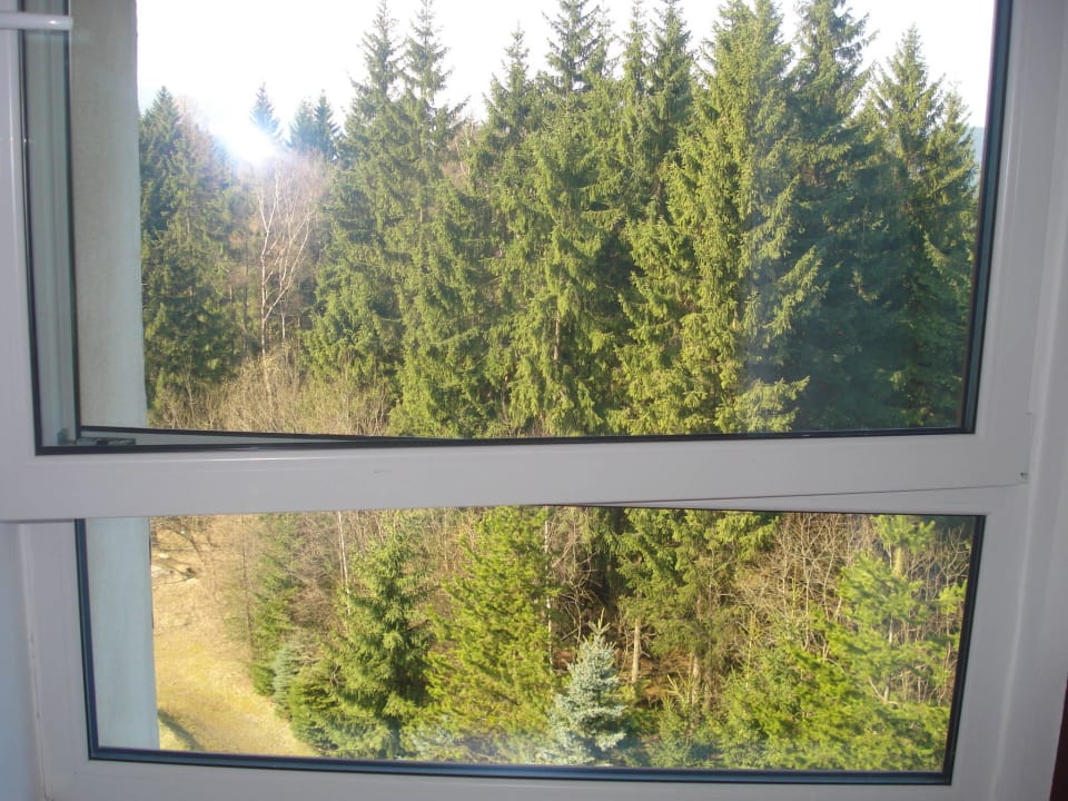 Výhled do přírody Wellness Hotel Svornost