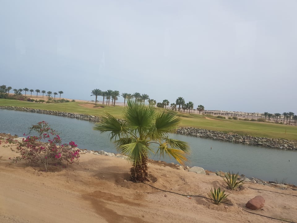 Gartenanlage Jaz Aquaviva