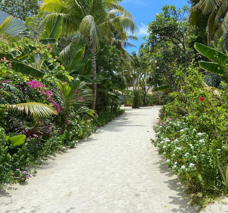 Gartenanlage Outrigger Maldives Maafushivaru Resort
