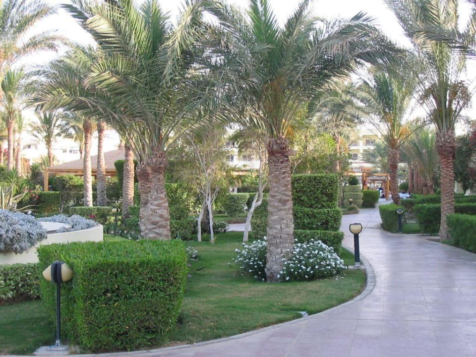 Gartenanalge Palm Beach Resort