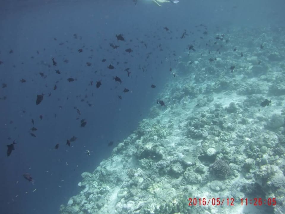 Hausriff NH Collection Maldives Reethi Resort