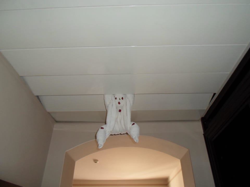 Ein Affe der Roomboys JAZ Dahabeya