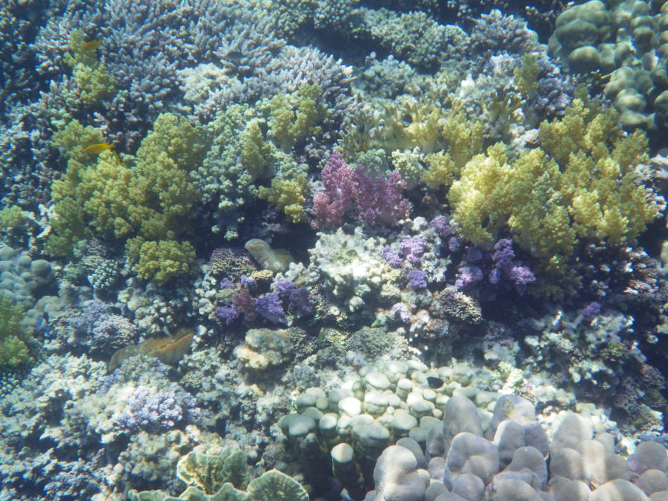 Strand Shams Alam Beach Resort