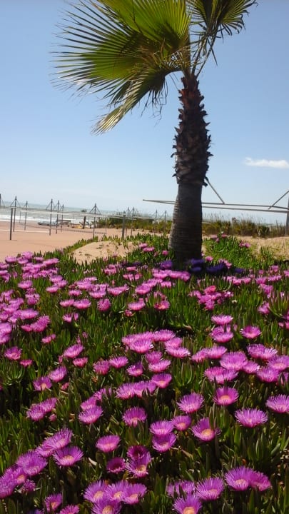 Strand Alba Queen Hotel