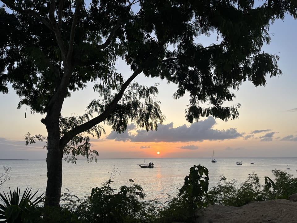 Ausblick Hotel Riu Palace Zanzibar