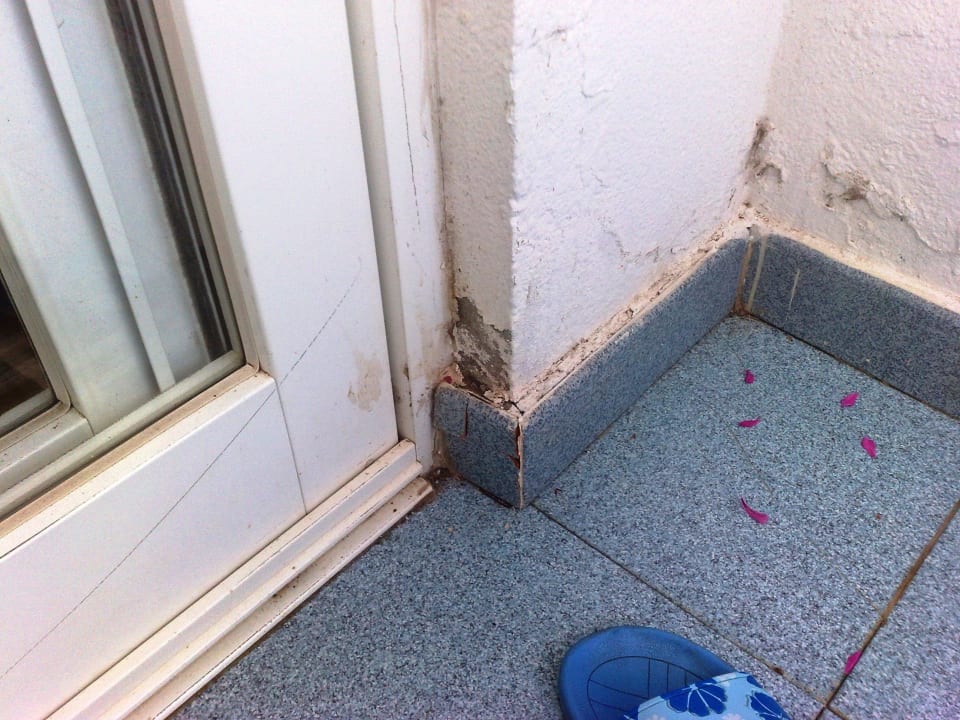 Schimmel am Außenputz (Balkon) Hipotels La Geria