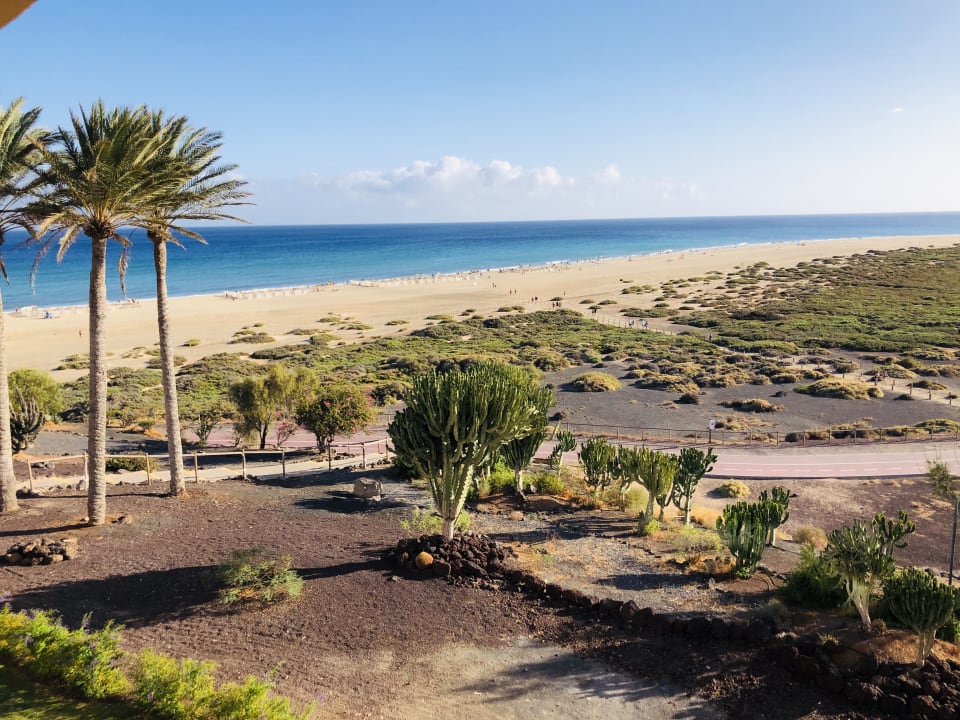 Ausblick Iberostar Selection Fuerteventura Palace
