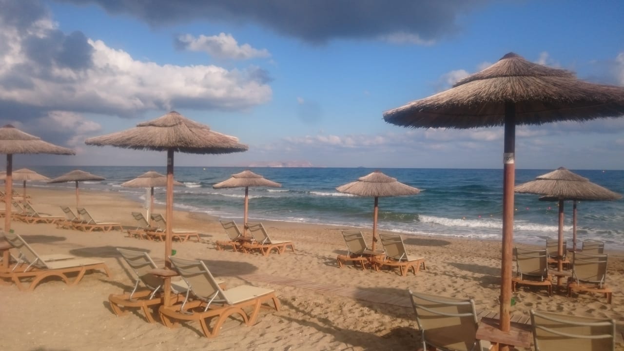 Strand TUI BLUE Insula Alba