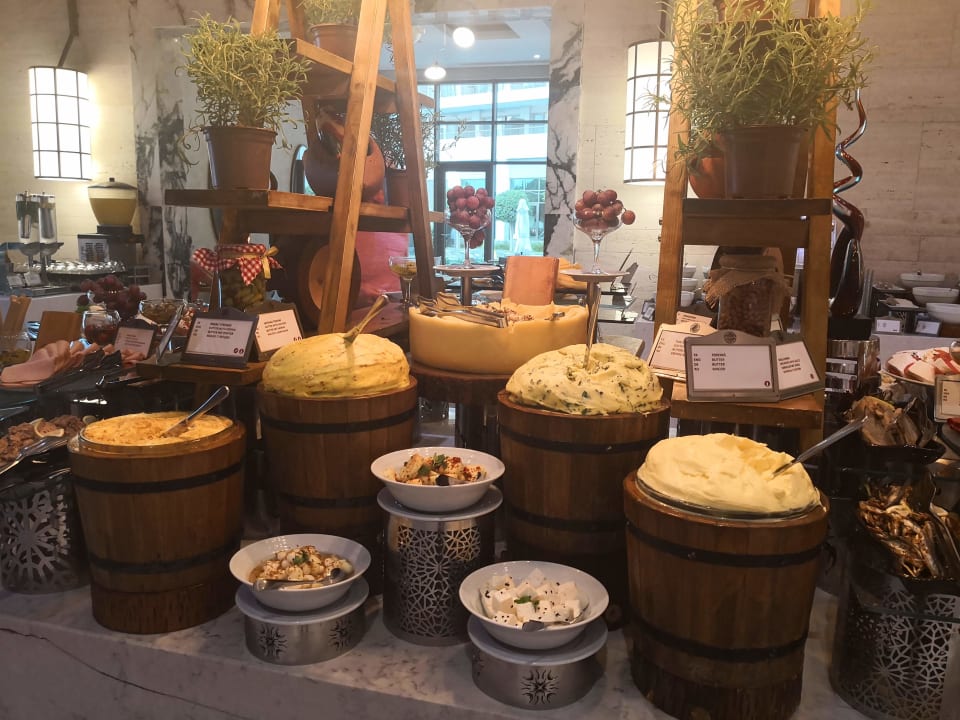 Gastro Acanthus Cennet Barut Collection