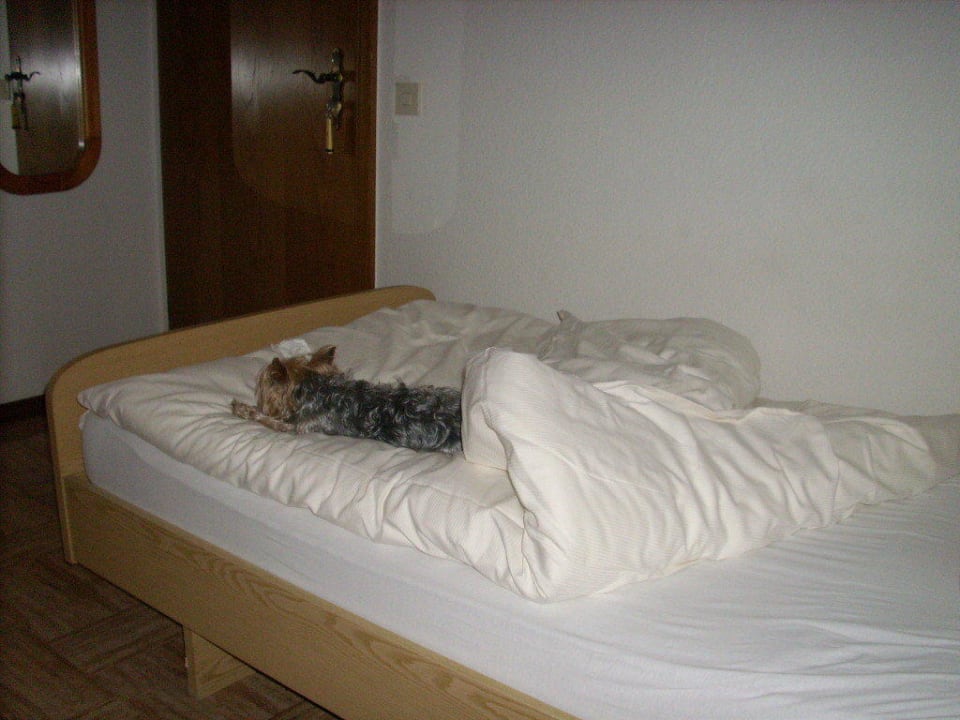 Schlafstätte Landgasthof Zum Stern