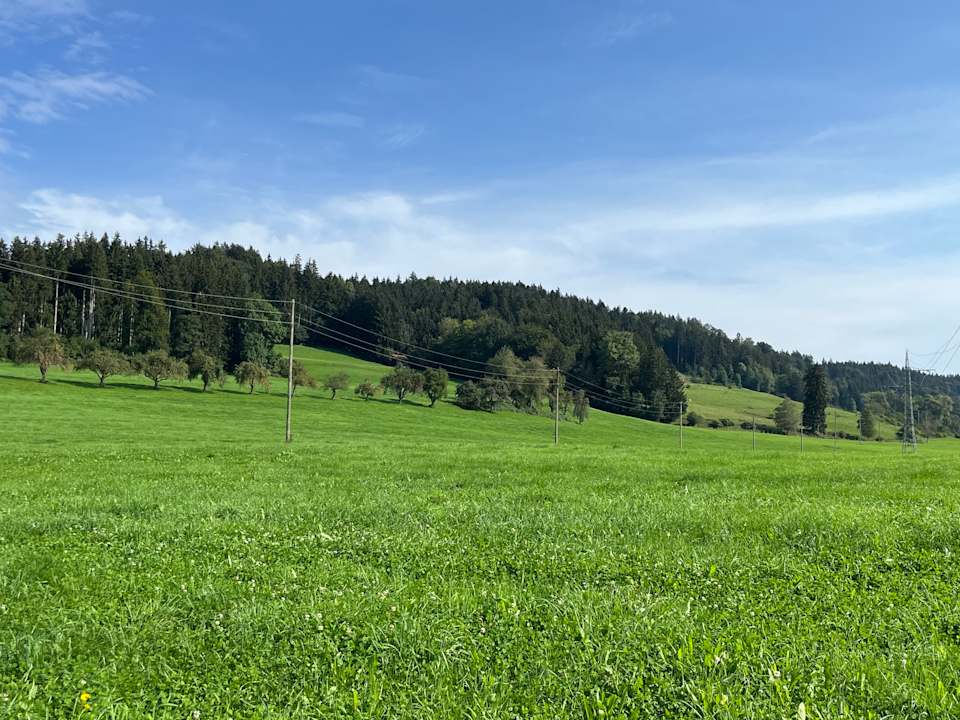 Ausblick Landgasthaus zum Kreuz GbR