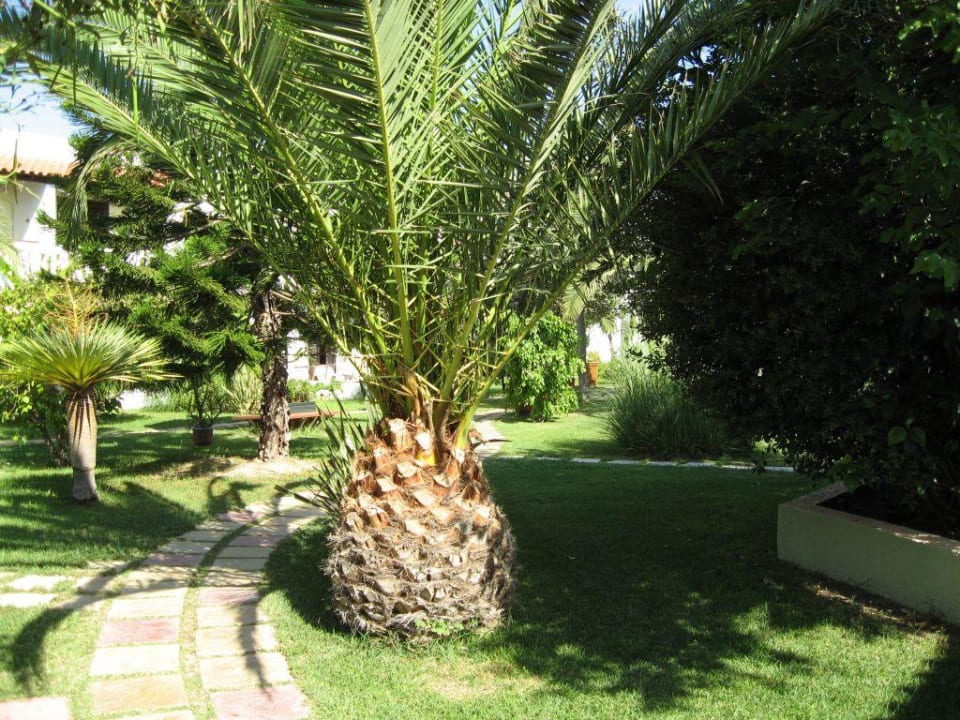 Der schöne Garten Gaia Garden Hotel