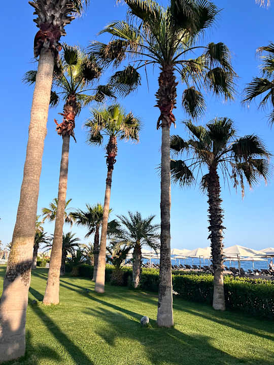 Außenansicht Paloma Finesse