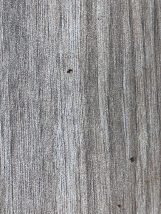 Zimmer Hipotels Barrosa Garden