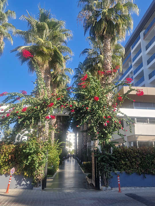 Gartenanlage Hotel Royal Garden Beach