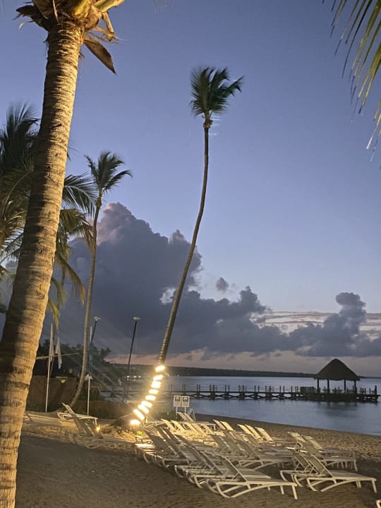 Strand Catalonia Royal La Romana - Adults only