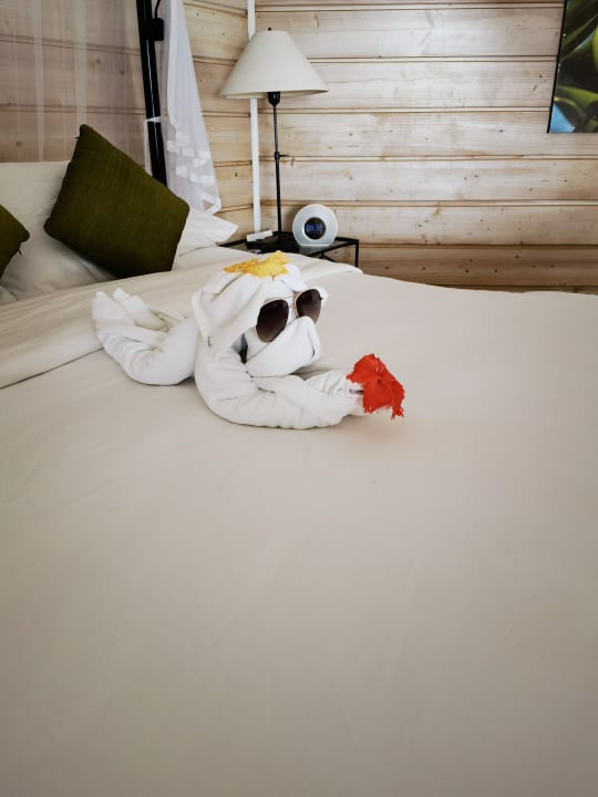 Zimmer Kuredu Island Resort & Spa