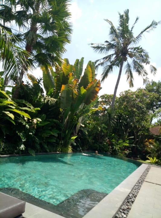 Pool Hotel De Munut Cottages