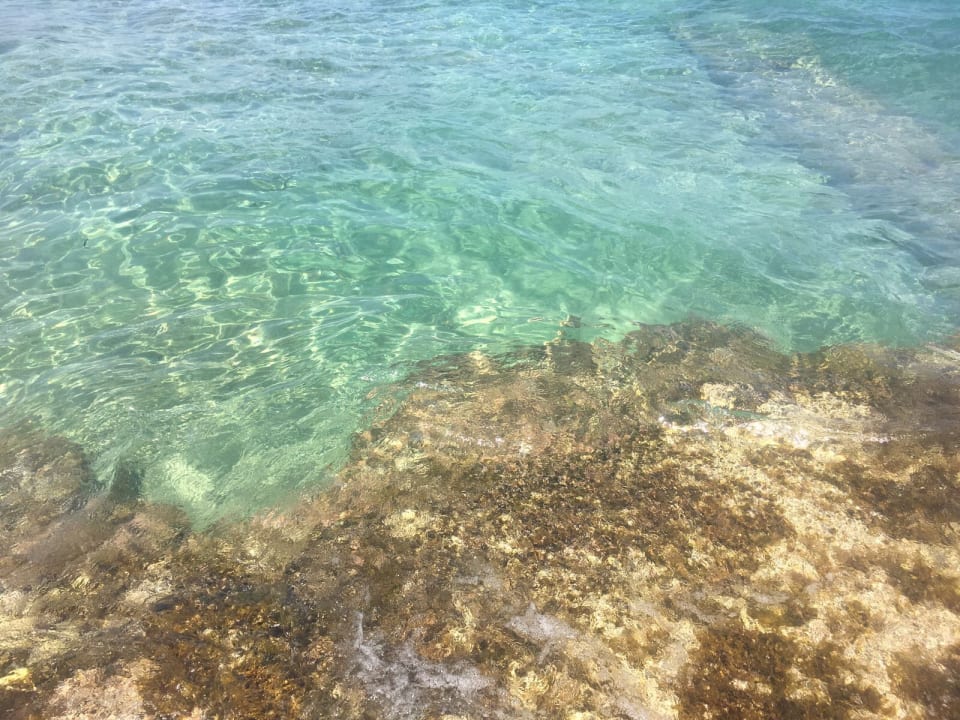 Strand Phãea Cretan Malia
