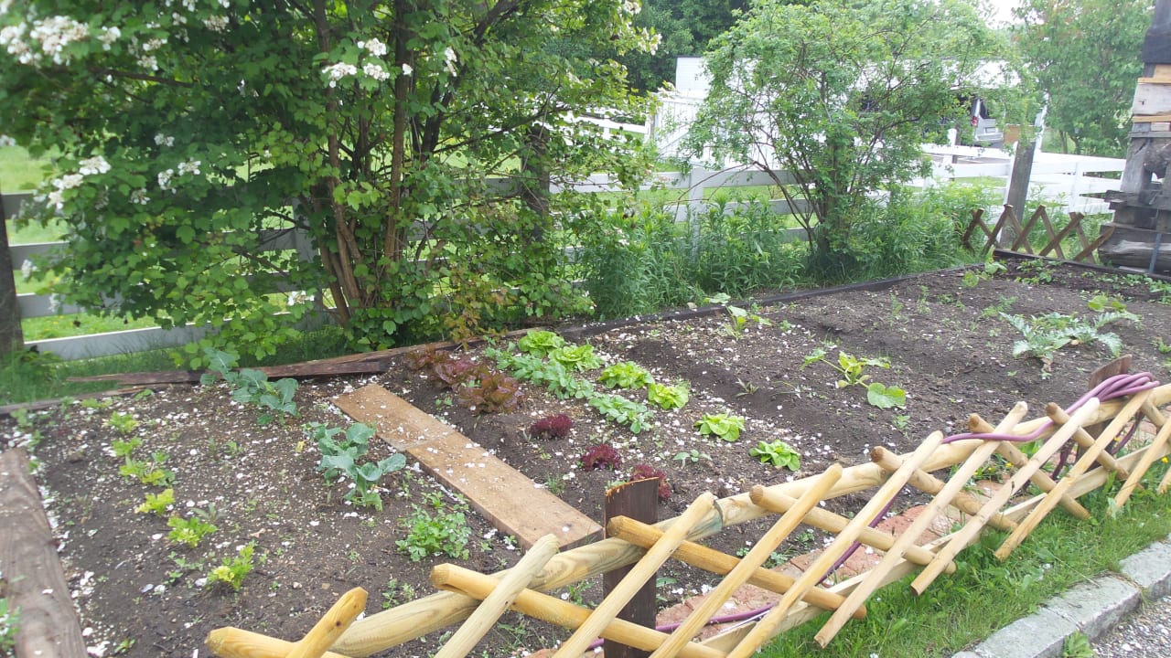 Gartenanlage Bärnsteinhof Gasthof mit Herz