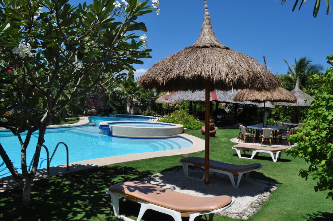 Pool Hotel Dolphin House