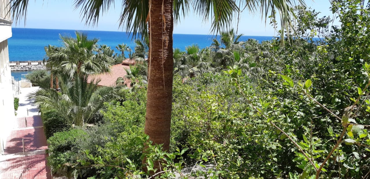 Ausblick Oscar Resort Hotel