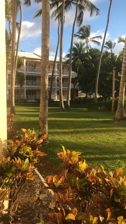 Gartenanlage Vik Hotel Arena Blanca & Cayena Beach