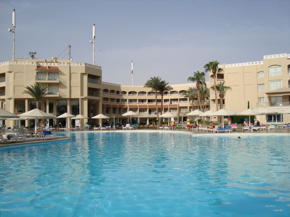 Pool Beach Albatros Resort
