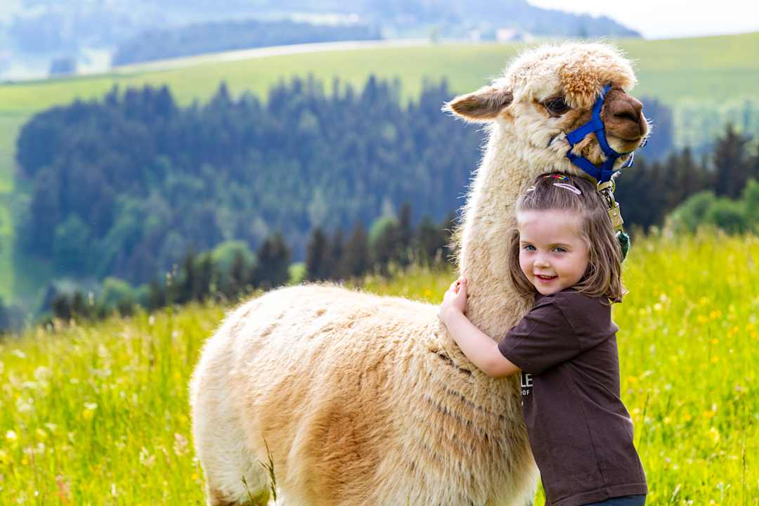 Sport & Freizeit Familien Resort Petschnighof - Familotel Kärnten