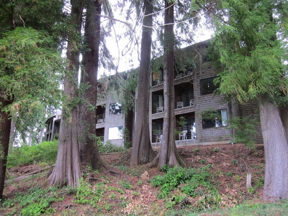 Eines der Nebengebäude Lake Quinault Lodge