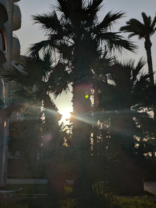 Sonstiges Sahara Beach Aquapark & Resort