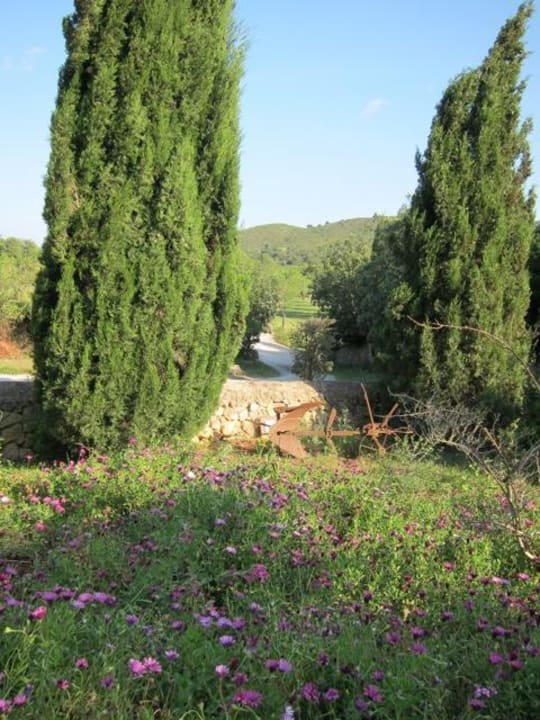 Garten Principal Son Amoixa