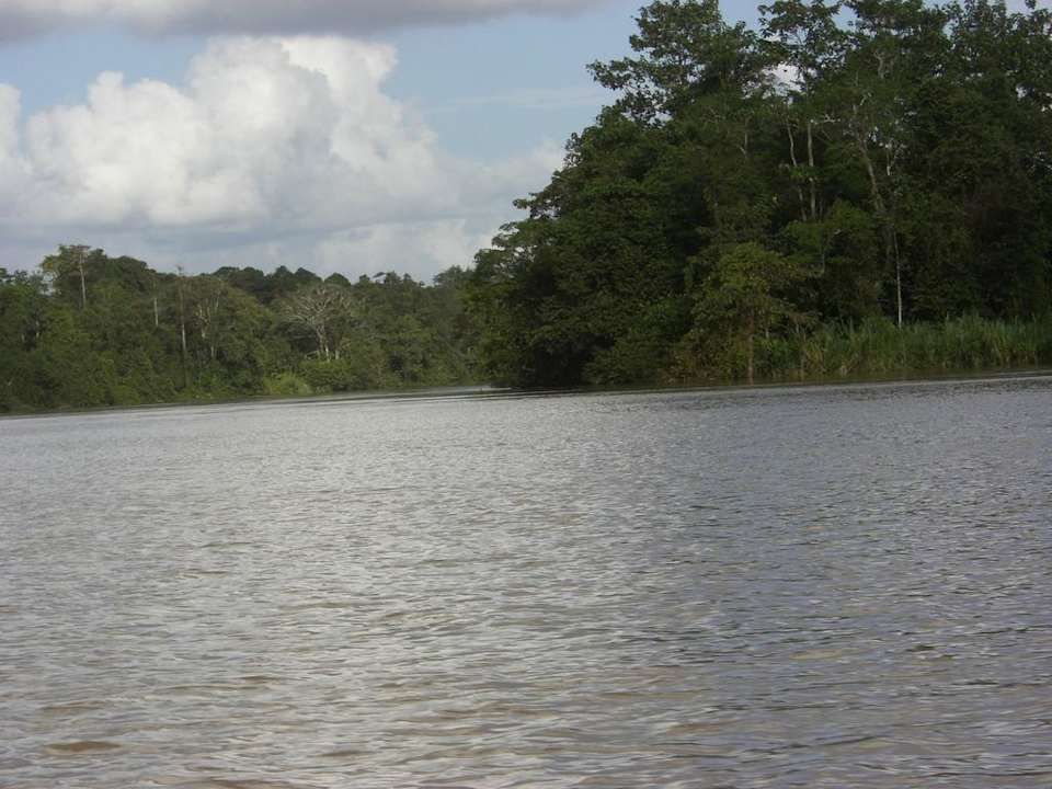 Auf dem River Bilit Rainforest Lodge