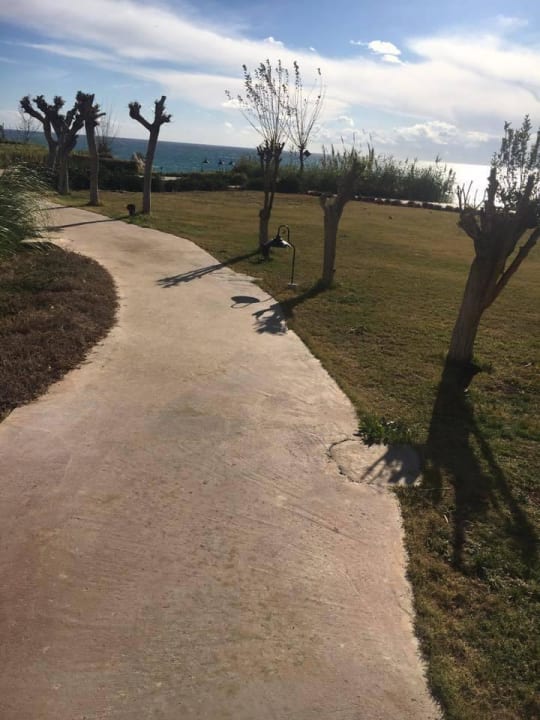 Garten The Marmara Antalya Hotel
