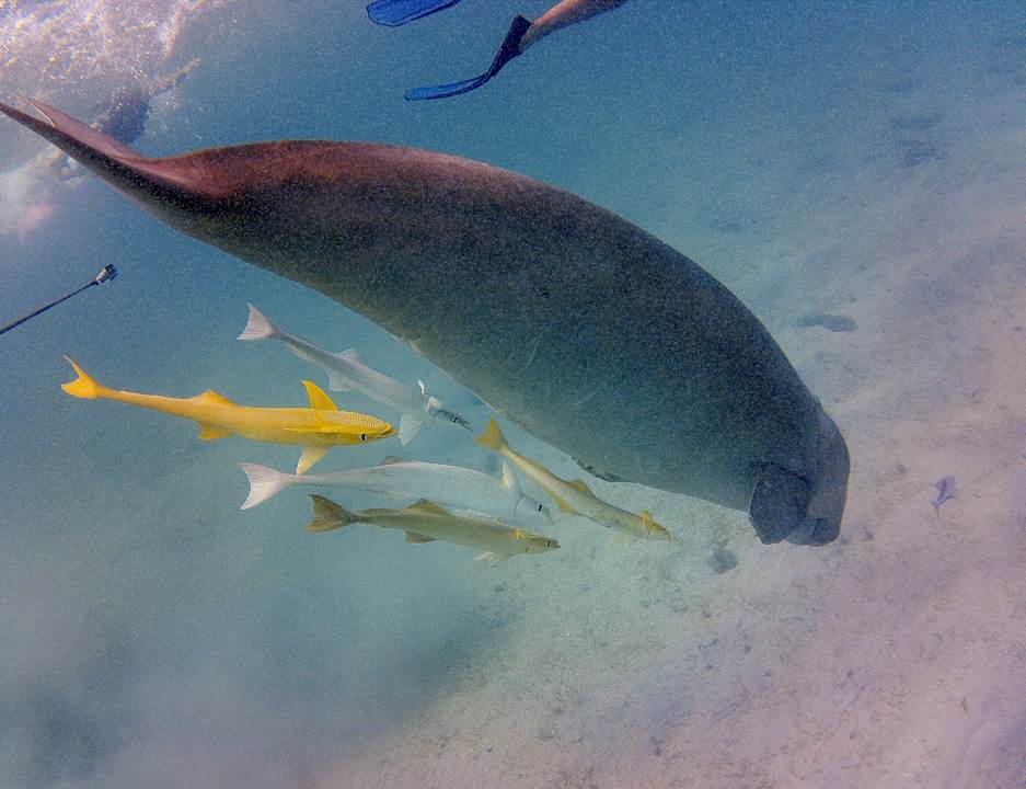 Strand Three Corners Sea Beach Resort