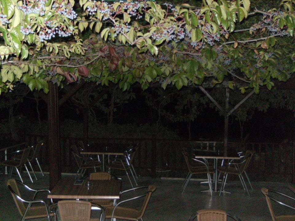 Poolbar Kaya Belek Hotel