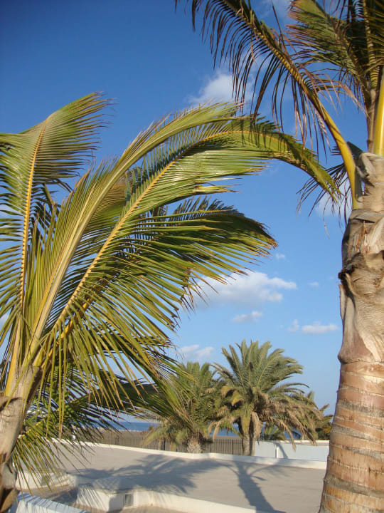 In der Anlage Hotel Las Costas