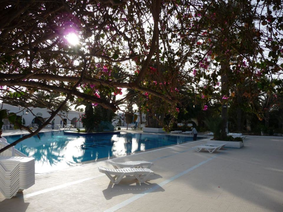 Pool des Hotels Hotel Sangho Club Zarzis