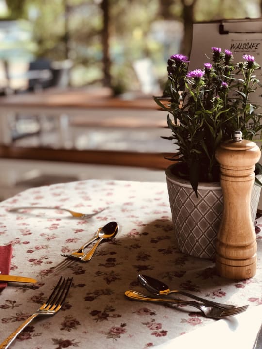 Gartenanlage Gasthof Waldcafe