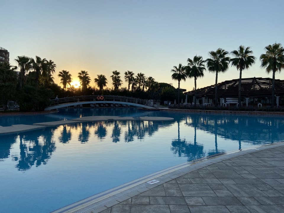 Pool Lara Barut Collection