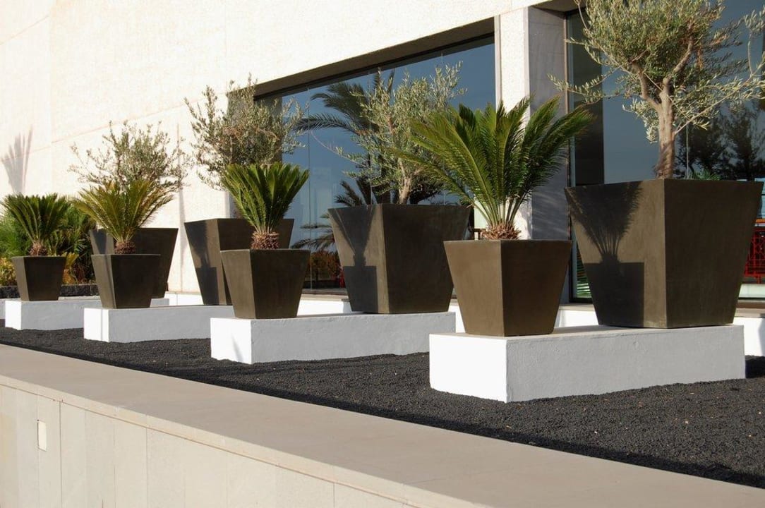 Kunst am Eingang Hotel Costa Calero